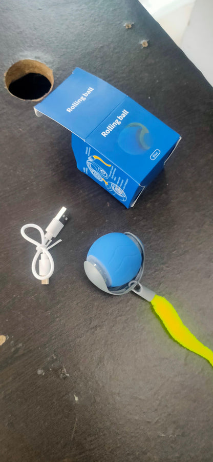 Rolling Ball Cat Toy